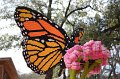 Kids_DFWzoo_3-2016 (18)
